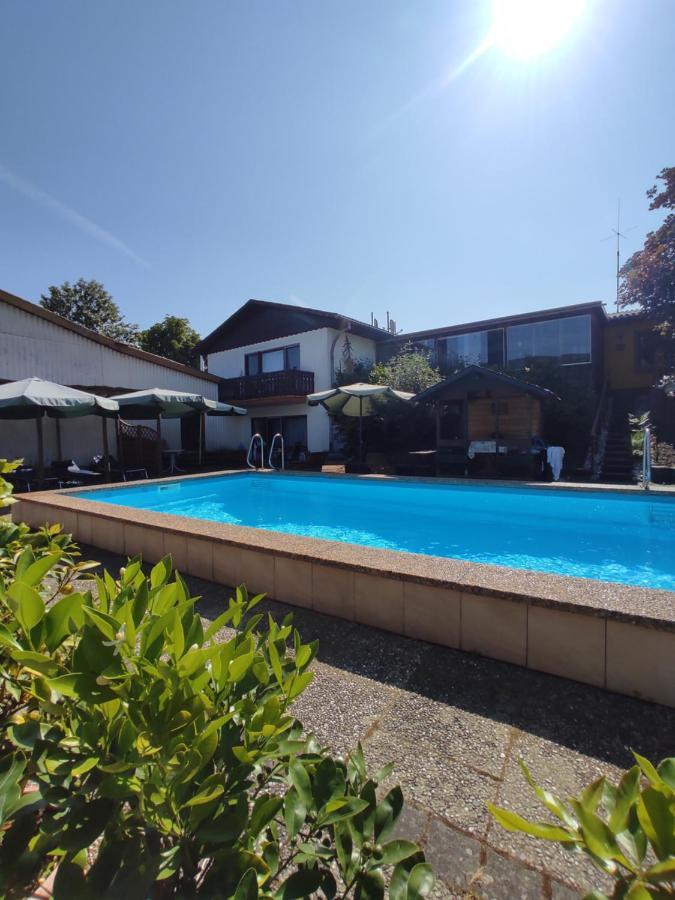 Moselferienweingut Schaefer Daire Wintrich Dış mekan fotoğraf